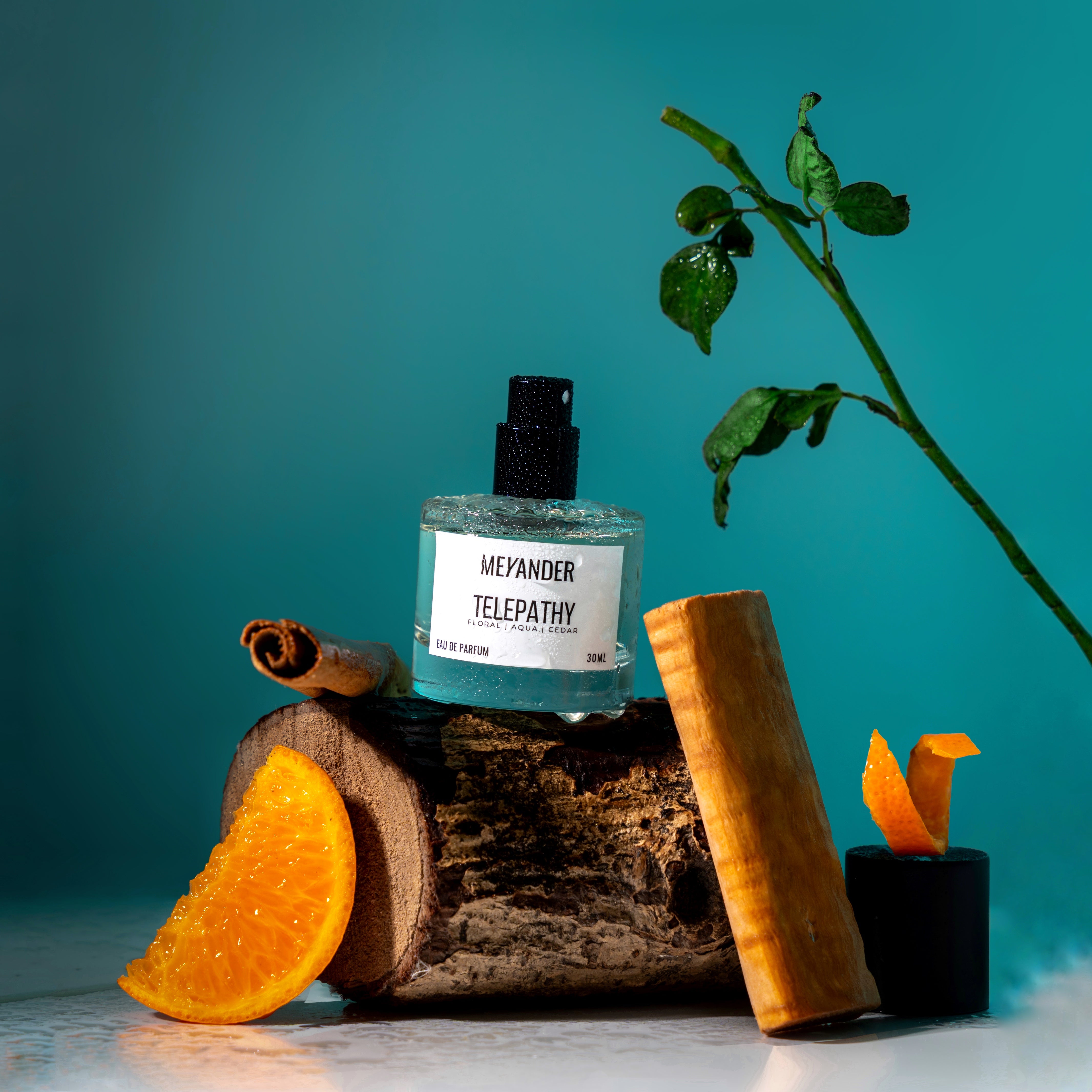 Meyander Telepathy unisex Perfume