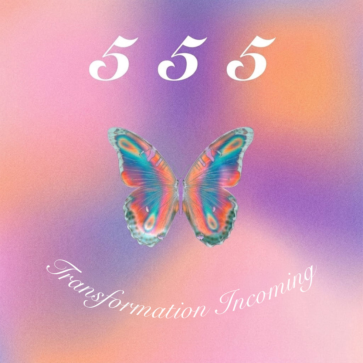 5 5 5