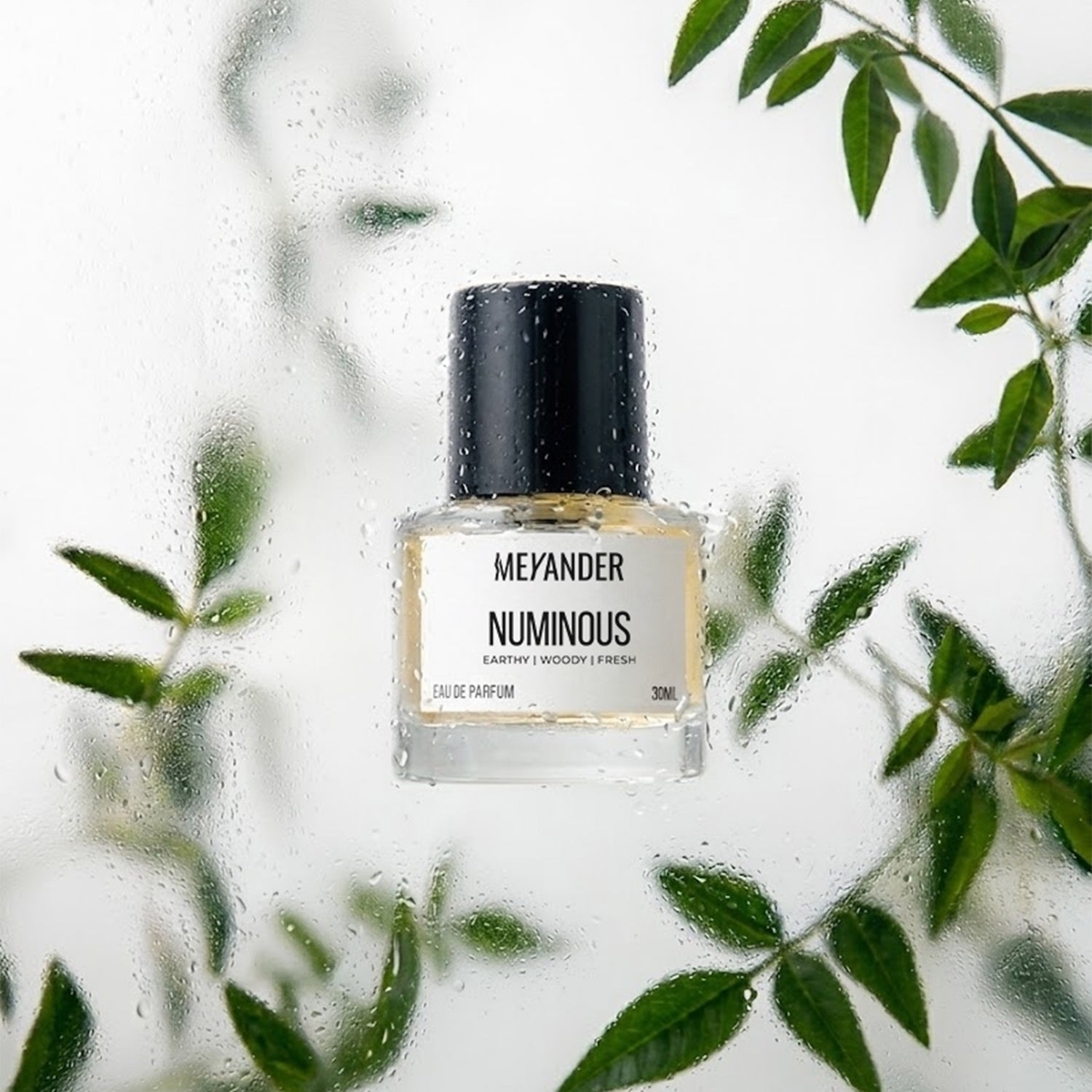 NUMINOUS