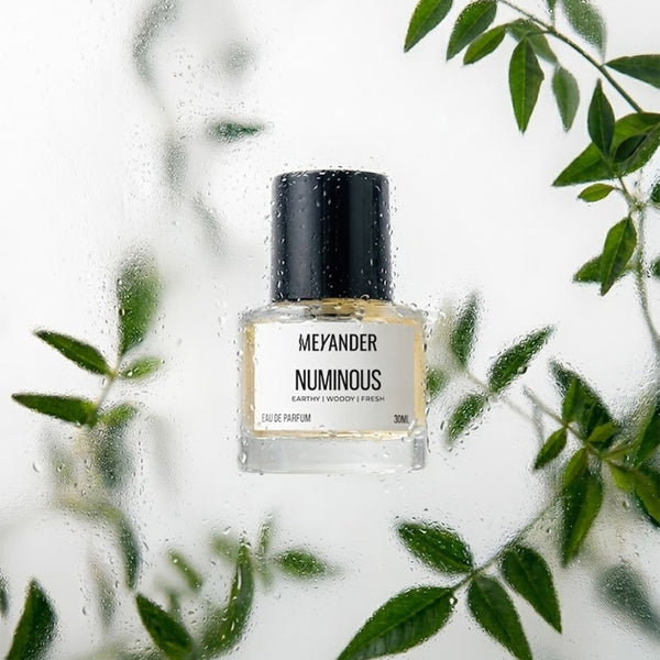 NUMINOUS