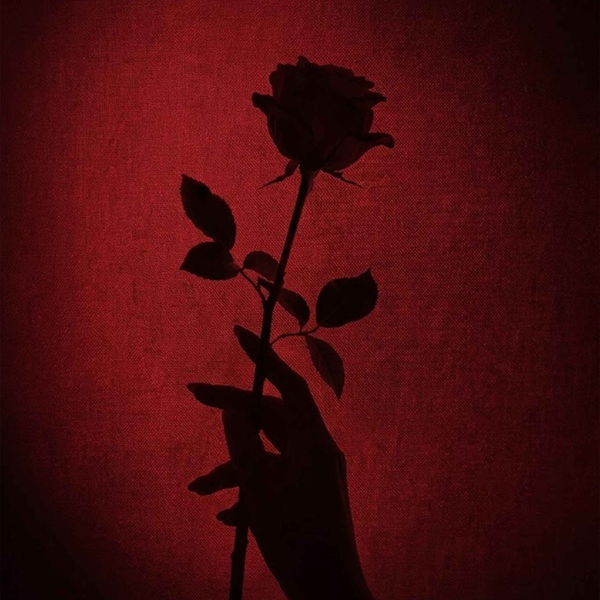 SOUL’S URGE