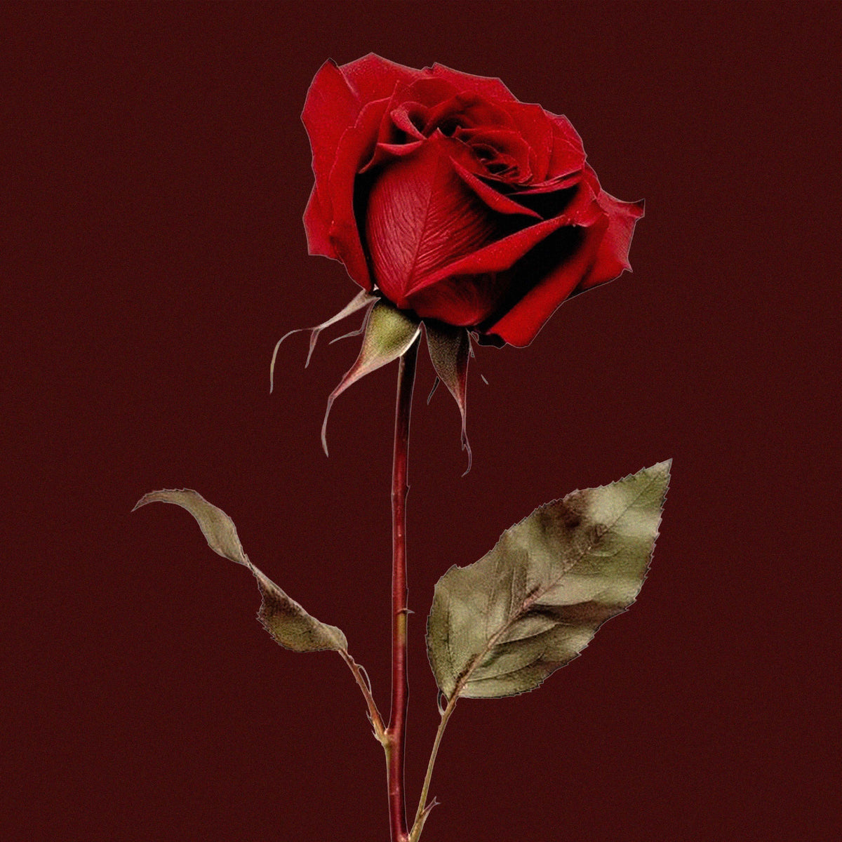 SOUL’S URGE